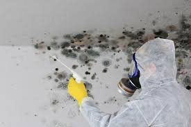 Best Water Damage & Mold Remediation  in USA